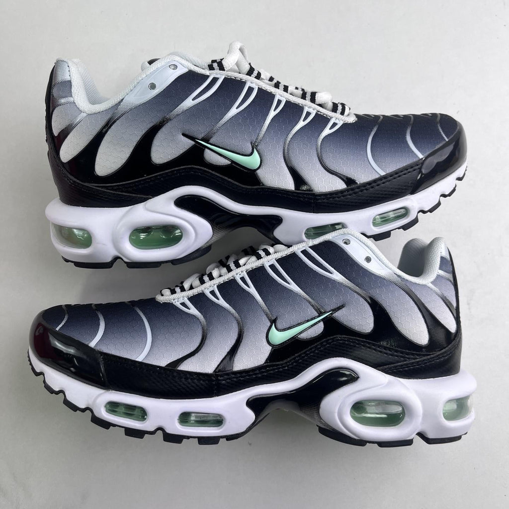 Nike Air Max Plus Tn