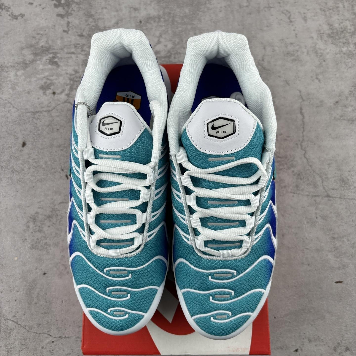 Nike Air Max Plus Tn