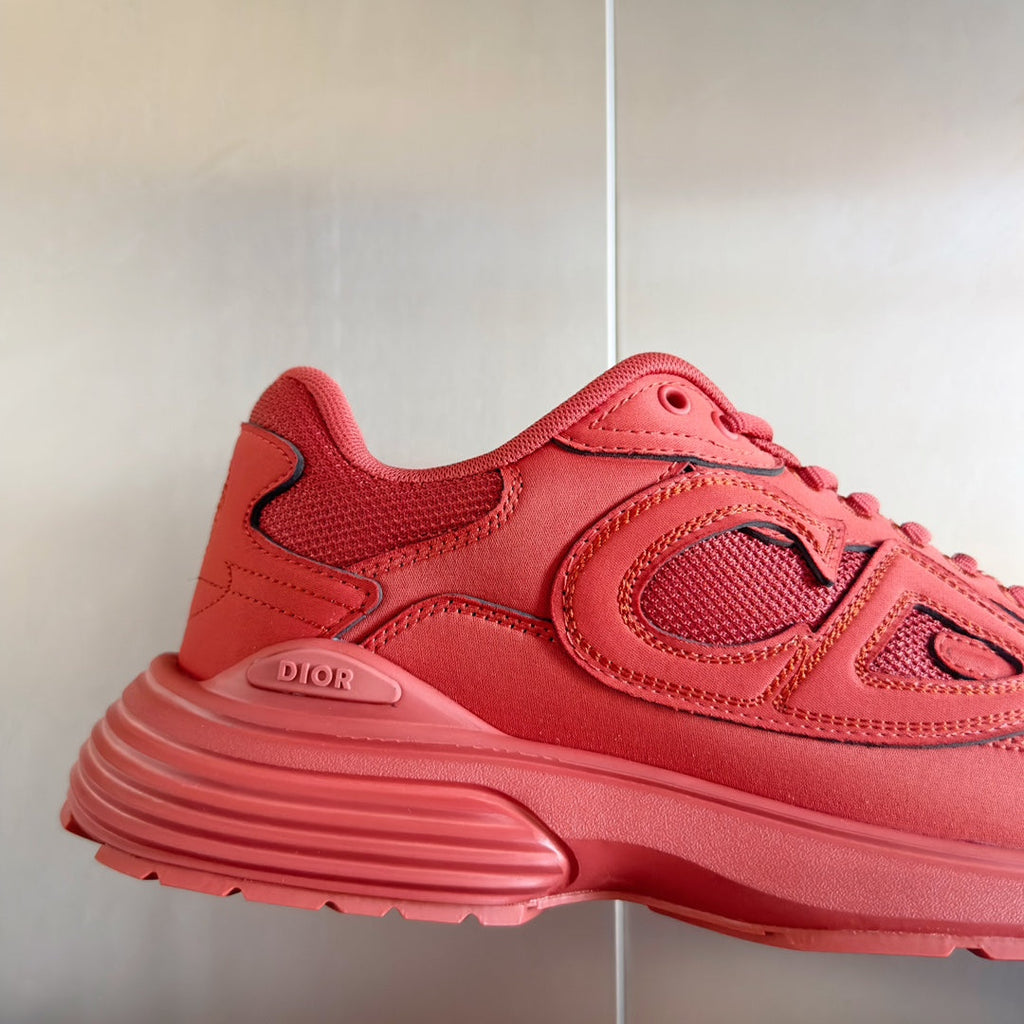 Dior x Stone Island B30