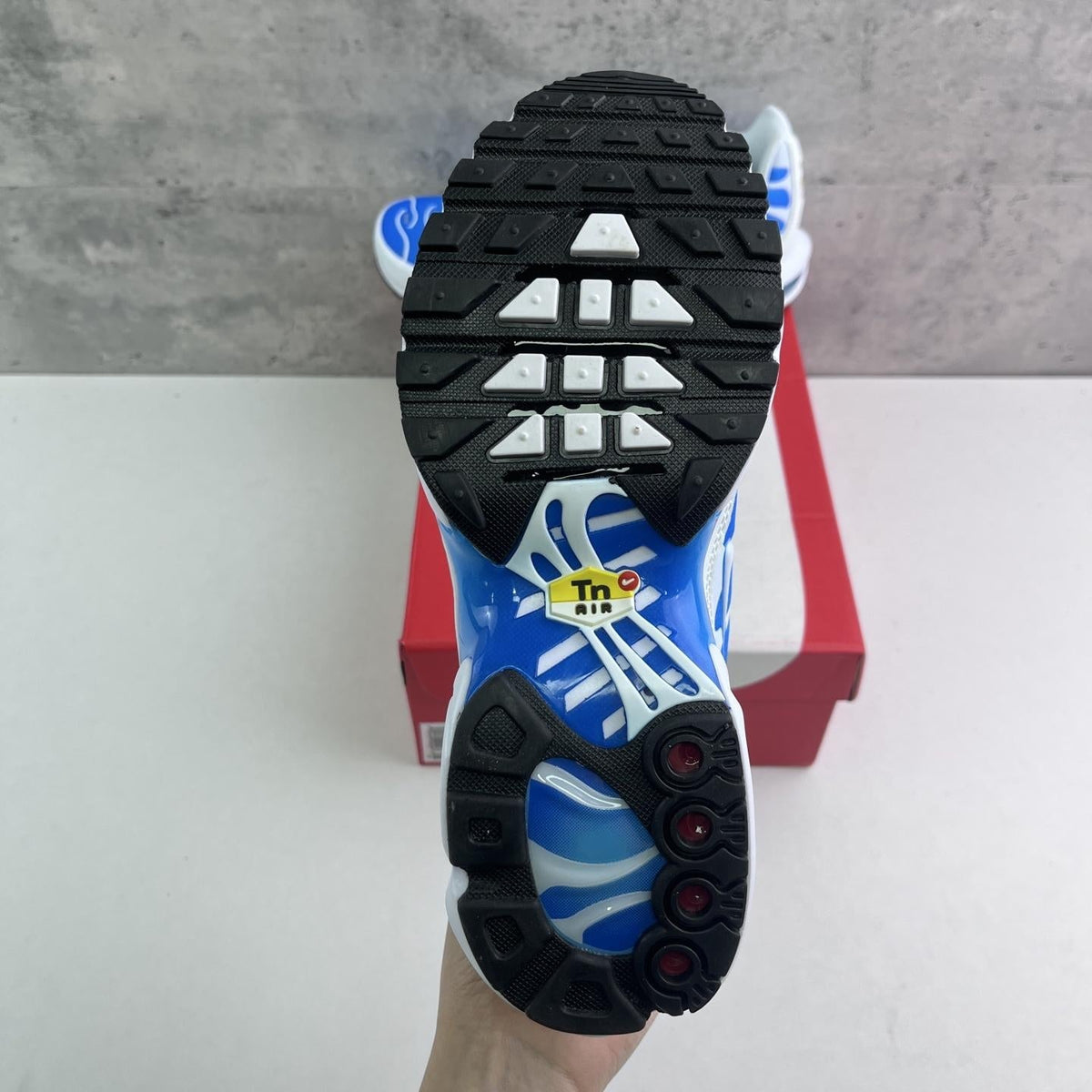 Nike Air Max Plus Tn