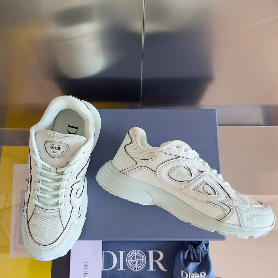 Dior x Stone Island B30